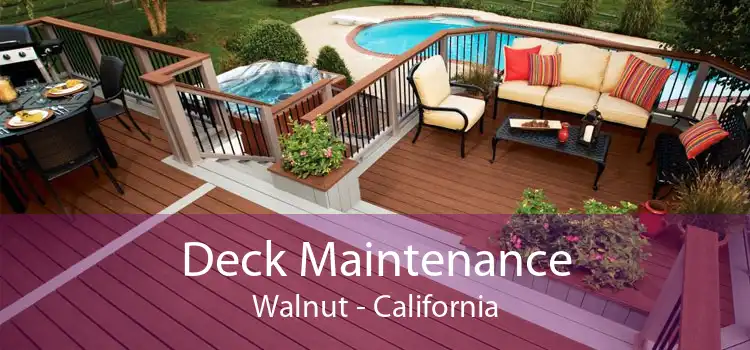 Deck Maintenance Walnut - California